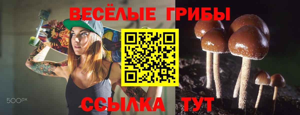 Псилоцибиновые грибы Psilocybine cubensis  Вход с VPN  Прокопьевск  Галлюциногенные грибы MAGIC MUSHROOMS 